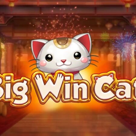 Big Win Cat – Game Slot hấp dẫn với tỷ lệ trả thưởng RTP 96%