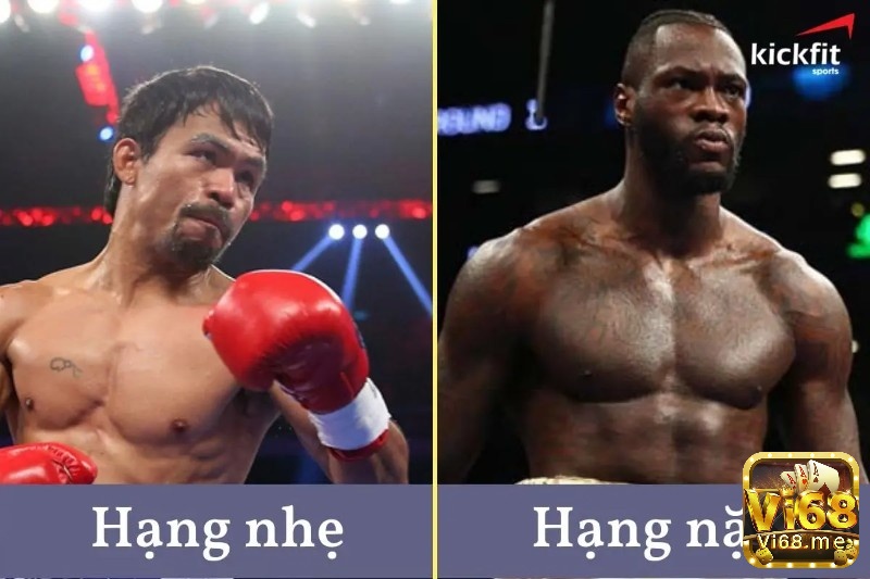 Boxing thì được chia làm nhiều hạng cân khác nhau